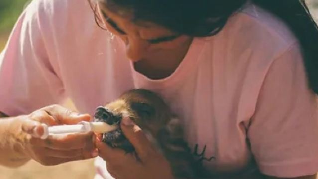 Aguilar de Segarra : Visite et atelier de la Fondation de la réserve forestière sauvage