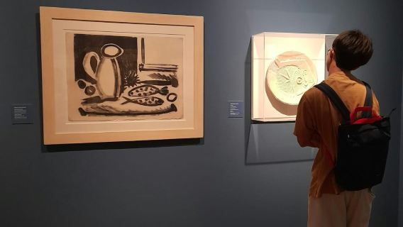 Picasso-Geburtshausmuseum: Eintrittskarte