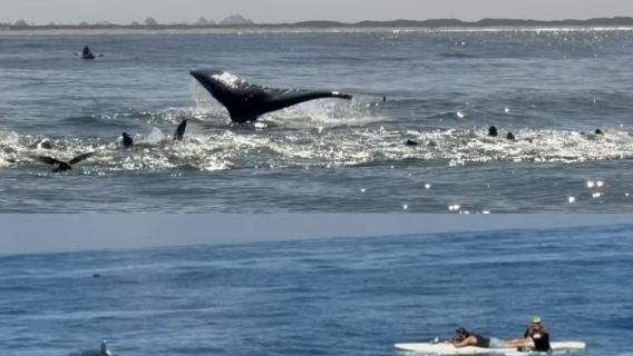 Monterey Peninsula + 17-Mile Drive + Carmel-By-The-Sea Premium Day Tour from San Francisco