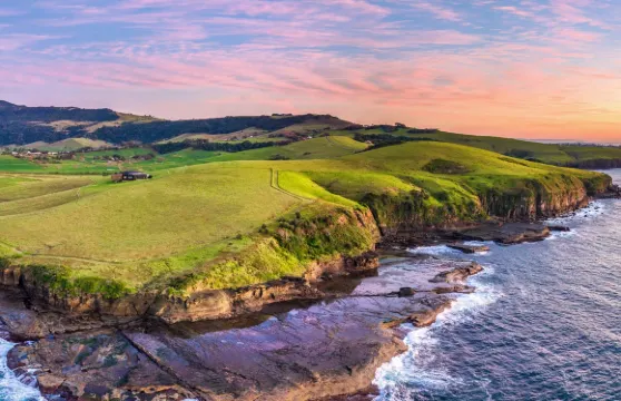 悉尼卧龍崗市一日遊【傑林崗小鎮/袋鼠谷可選丨凱阿馬噴水洞】