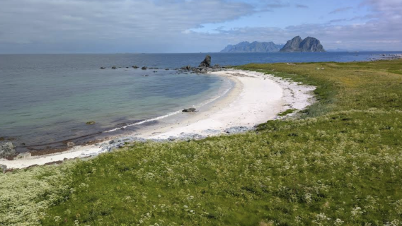 挪威斯沃爾韋爾-雷訥-挪威漁村博物可定制【包車-跟團詢客戶服務支援】