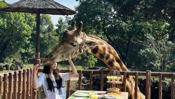 Tour di un giorno in noleggio con conducente esclusivo da Surabaya allo Zoo di Prigen e al Parco Tenger Semeru [itinerario flessibile]