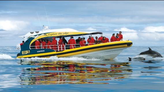 3-hour wilderness cruise from Hobart to Port Arthur and Tasman Peninsula in Tasmania