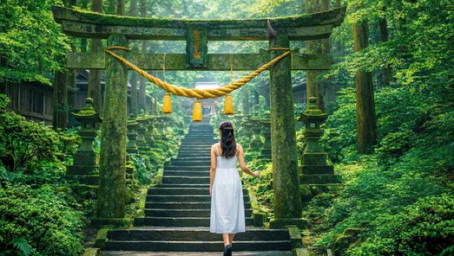 1-day tour to Fukuoka's hidden shrine, Aso Volcano, Kusasenri, and Kurokawa Onsen|Kumamoto round-trip