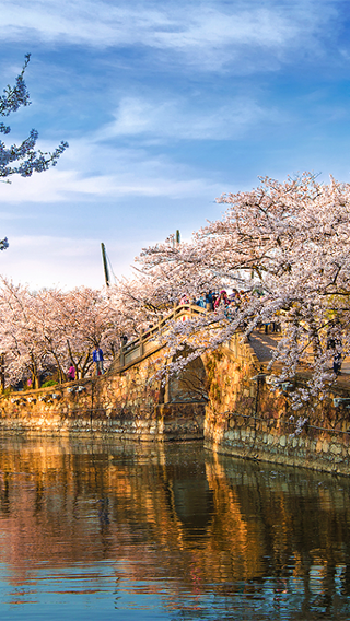 Private Day Tour from Shanghai to Wuxi's Taihu Lake and Yuantouzhu Scenic Area (Including Round-Trip Ferry)
