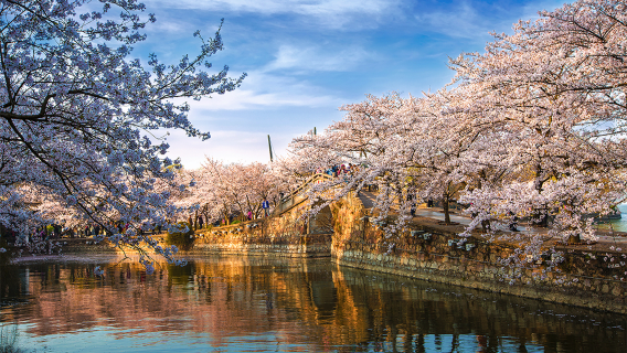 [Shanghaista lähtevä] Yksityinen päiväretki Wuxin Taihu-järvelle ja Yuantouzhuun (sisältää edestakaisen lauttamatkan)