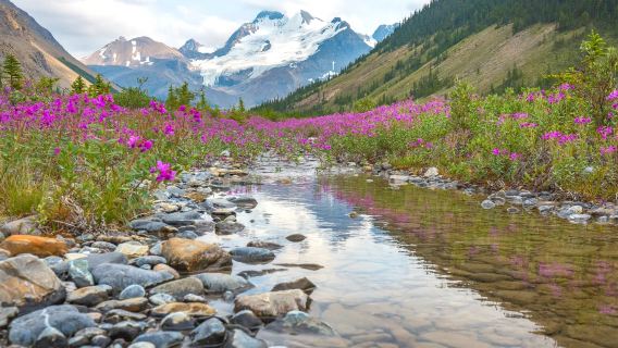 Canada: Banff National Park small join-in tour & optional private charter | multiple departure points available