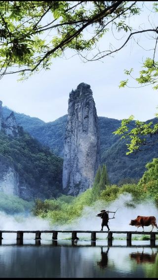 仙都景區＋河陽古民居包車一日遊【免景交私家團】