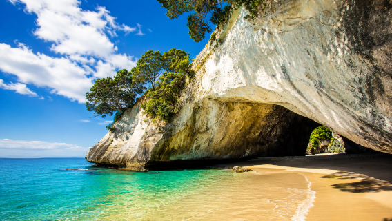 Tagesausflug zur Coromandel-Halbinsel in Neuseeland | Cathedral Cove | Hot Water Beach (abhängig von den Gezeiten)