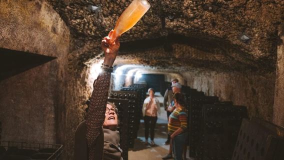 Thung lũng Loire: Tham quan Vườn nho Vouvray và Nếm rượu