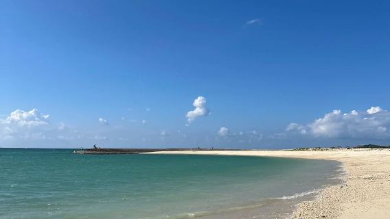 Lawatan perlahan sehari di pantai Okinawa · Pantai Ginowan + Taman Pantai Toyosaki + Pantai Chatan