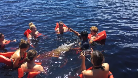 Brazil Manaus Amazon River 1-day tour 12-person group/pink river dolphin/two rivers meet