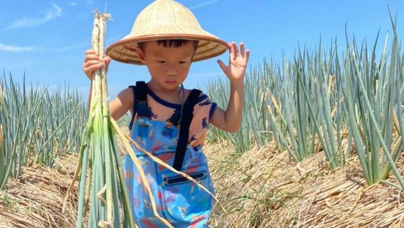 True Me Farm Landkreis Yilan: DIY Lauchpfannkuchen + Geführte Tour + Lauchernte