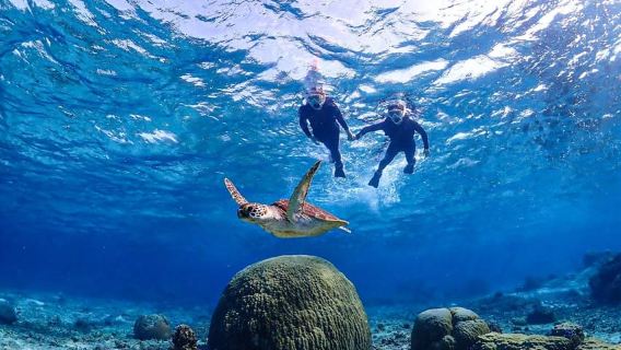 Miyako island: 3 sets! Snorkeling/Limestone Caving/Beach SUP