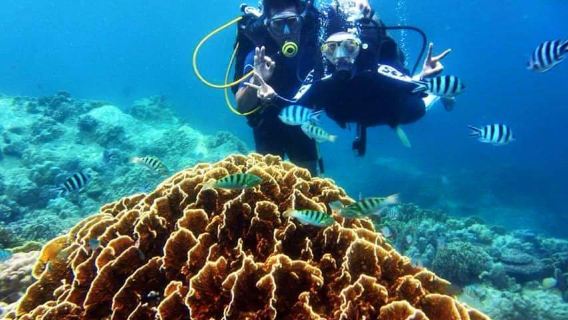 Buceo recreativo en la bahía de Nha Trang