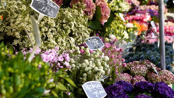 パリ花鳥市場2時間ガイド付き解説｜入場チケット込み：パリっ子の日常の活気を感じる