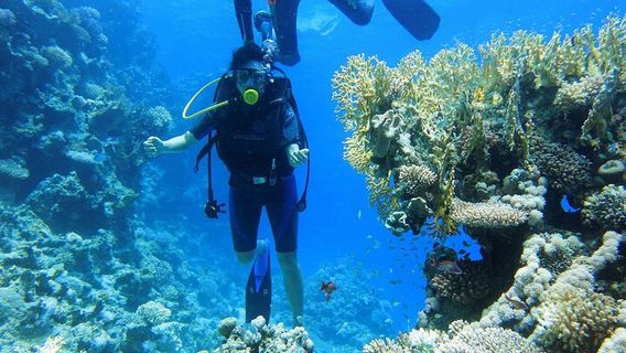 Sharm El SheikhExperiences