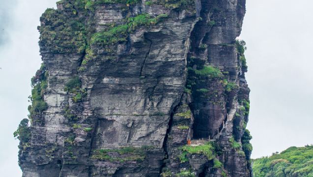 貴州銅仁梵淨山一日遊【VIP通道 快速入園 免排隊】