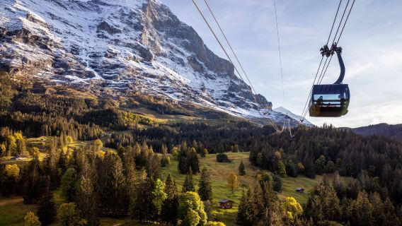 Ab Grindelwald: Ticket Jungfraujoch inkl. Sitzplatzreservation