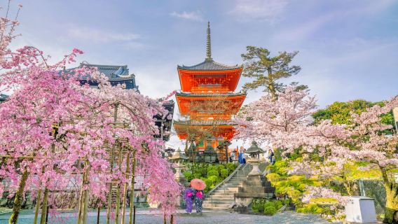 NishinomiyaTours