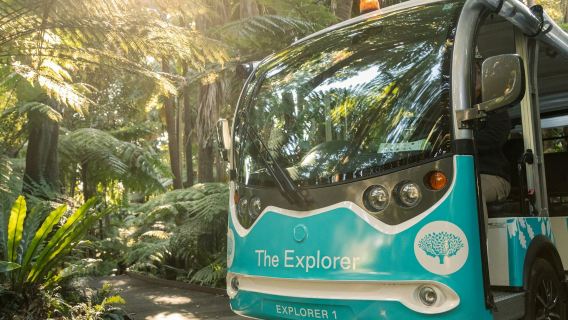 The Explorer: Melbourne Gardens