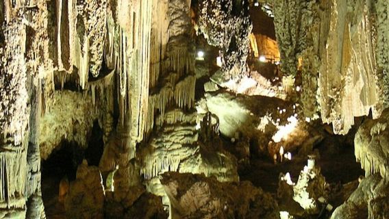 Tropical Coast & Nerja Cave: Day Trip from Granada + Lunch