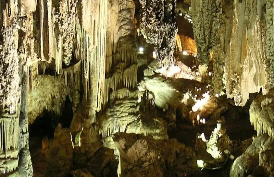 格拉納達出發：熱帶海岸與內爾哈洞穴一日遊 + 午餐