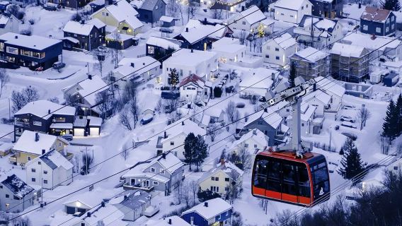 挪威特羅姆瑟——————塞尼亞島——————包車【精選老司機】