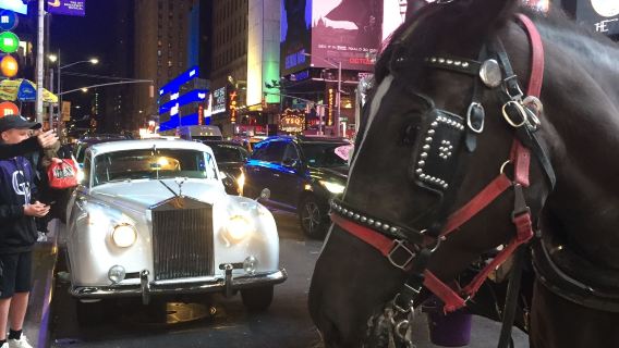 GRAND TOUR: Central Park, Rockefeller Center & Times Square Horse Carriage Ride