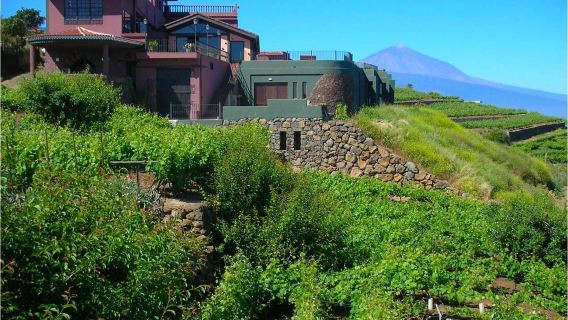Santa Cruz de TenerifeTours