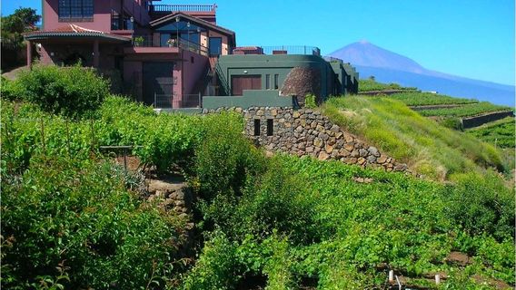 Santa Cruz de TenerifeExperiences