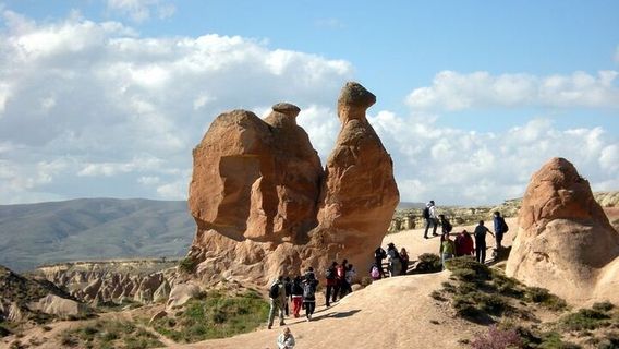 CavusinTours