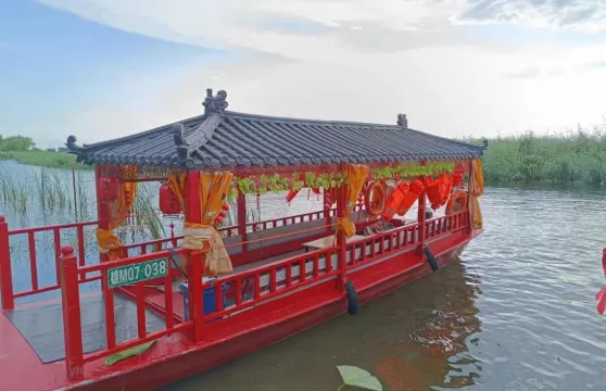 白洋澱陽光旅遊碼頭風景區白洋淀畫舫包船野淀遊玩2小時團體（2-10人）