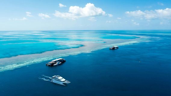 Excursión de un día a la Gran Barrera de Coral en las Islas Whitsunday desde Airlie Beach o Hamilton con opción de helicóptero