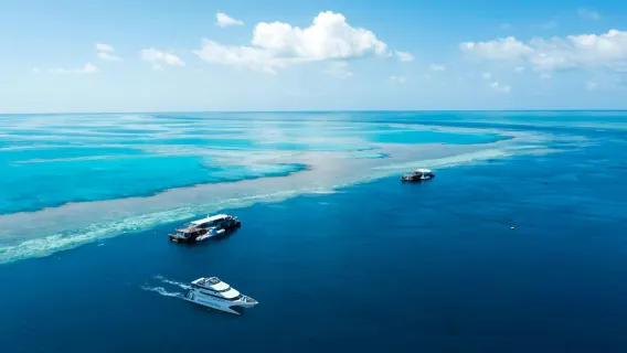 Excursion d'une journée aux récifs de la Grande Barrière de Corail des îles Whitsunday au départ d'Airlie Beach ou Hamilton avec option hélicoptère
