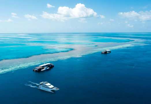 1-day tour to Hardy Reef in the Whitsundays, departing from Airlie Beach or Hamilton Island with optional helicopter ride AUD 328.11