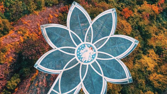 溫州出發·佛影蓮韻·神仙居+高遷古村包車1日【溫州市內接送】