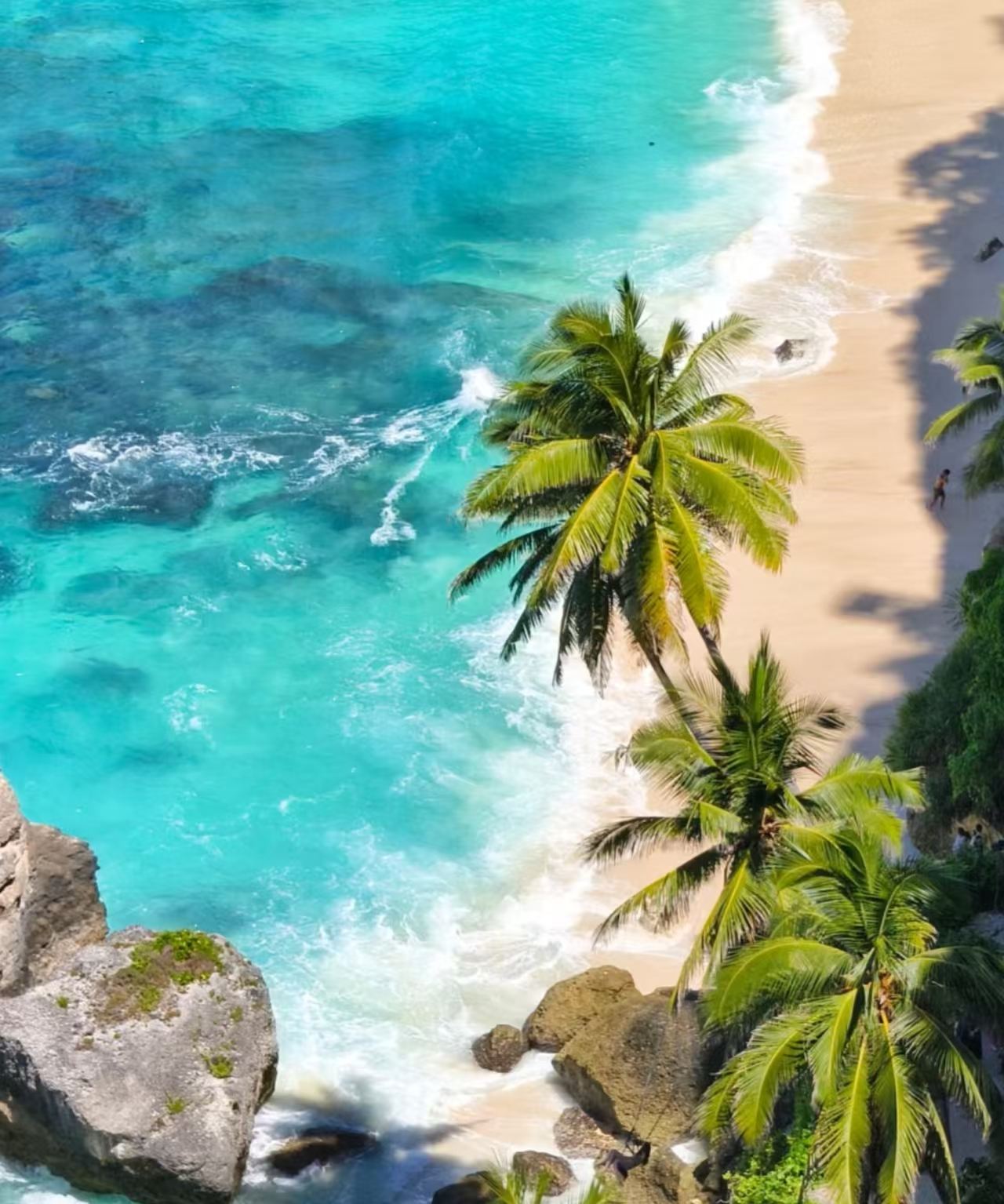 ทัวร์ 1 วัน เกาะนูซา ปนีดา บาหลี เส้นทางฝั่งตะวันตก + ดำน้ำตื้นริมชายหาด [รถรับส่งส่วนตัว + อาหารกลางวัน]