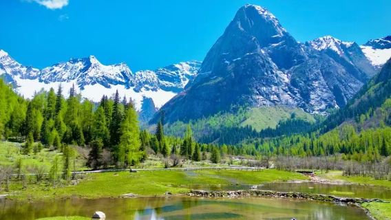 四姑娘山一日遊2-6人團含門票送氧氣【可選雙橋溝或長坪溝】獨立出行成都三環內接送