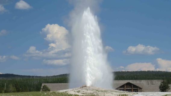 West Yellowstone: Yellowstone Day Tour Including Entry Fee