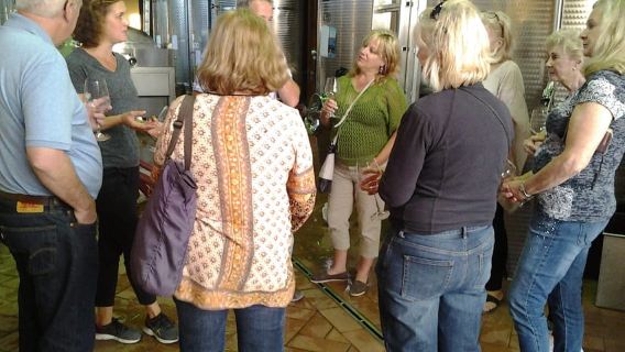 Chianti: 4 Wine +1 Oil Guided Tasting & Tour