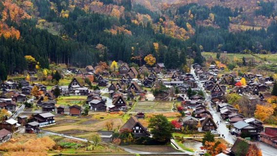 Nagoya: Shirakawa-go, Gujo, Hida Takayama Historic Day Tour