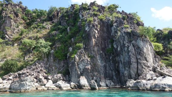 Basseterre : Catamaran d'une journée à Saint-Kitts-et-Nevis – plongée avec tuba et déjeuner