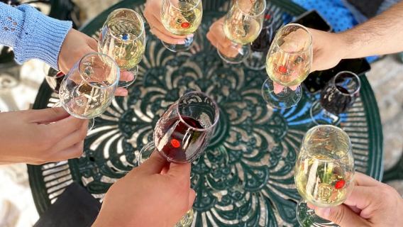 Oporto: tour a pie con cata de vinos y tapas