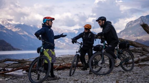 Interlaken: Tour tham quan ngắm cảnh bằng xe đạp điện có hướng dẫn