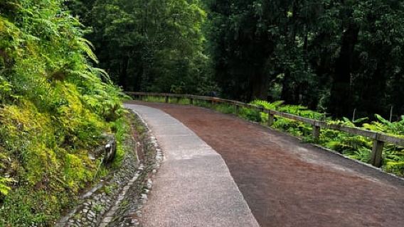 Van Tour - Lagoa do Fogo ( Half day)