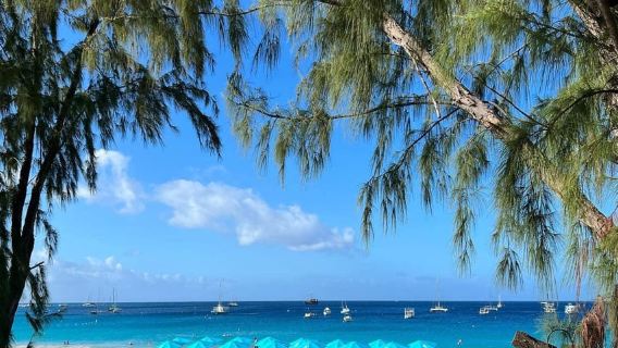 Pelabuhan Pelayaran Bridgetown: Pengangkutan Ulang-alik & Kursi Lepak Pantai Carlisle Bay