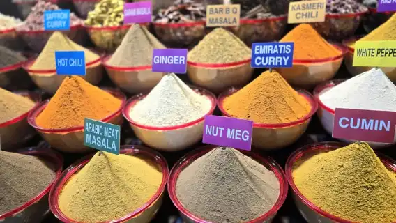 杜拜：高級舊城區、街頭美食、露天市場和乘船遊覽