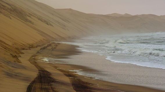 Kajakfahren zwischen Robben und Sandwich Harbour – Kombitour