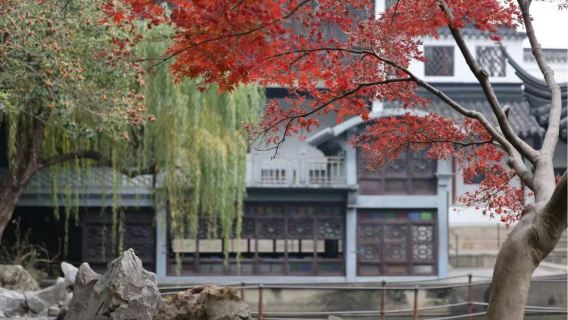 【精緻12人】拙政園+獅子林+虎丘山風景名勝區+寒山寺+山塘街一日遊